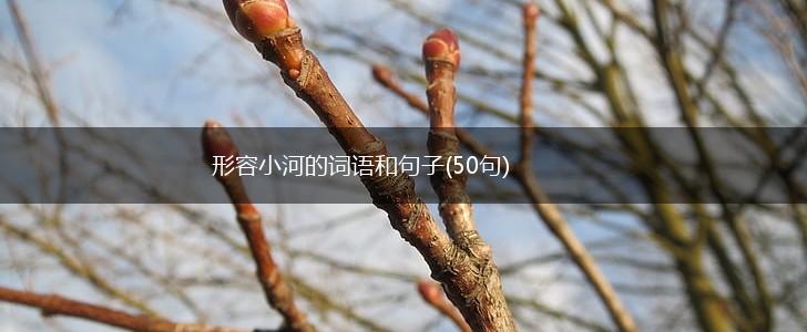 形容小河的词语和句子(50句),第1张