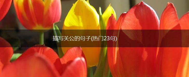 描写关公的句子(热门23句),第1张