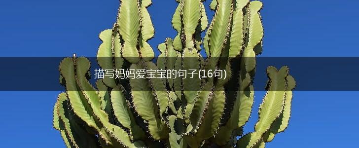描写妈妈爱宝宝的句子(16句),第1张