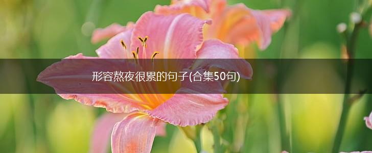 形容熬夜很累的句子(合集50句),第1张