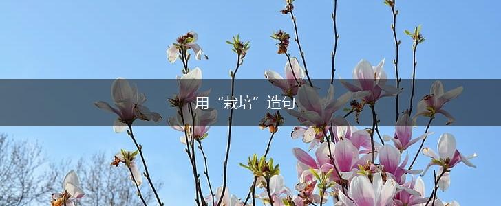 用“栽培”造句,第1张