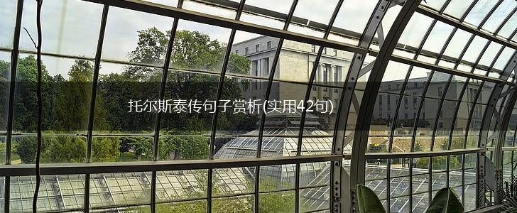 托尔斯泰传句子赏析(实用42句),第1张