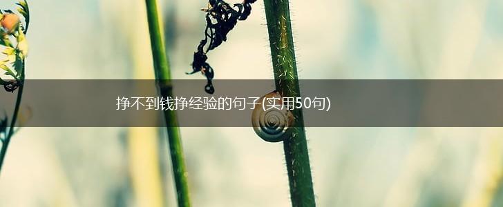 挣不到钱挣经验的句子(实用50句),第1张