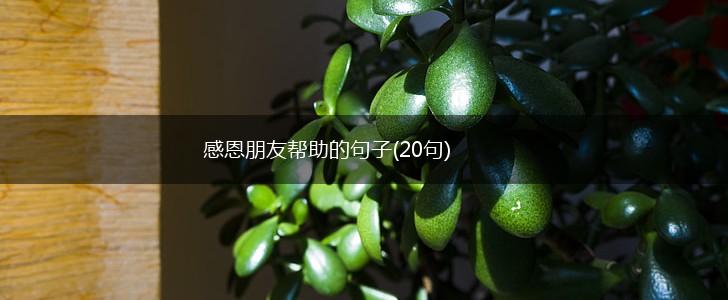 感恩朋友帮助的句子(20句),第1张