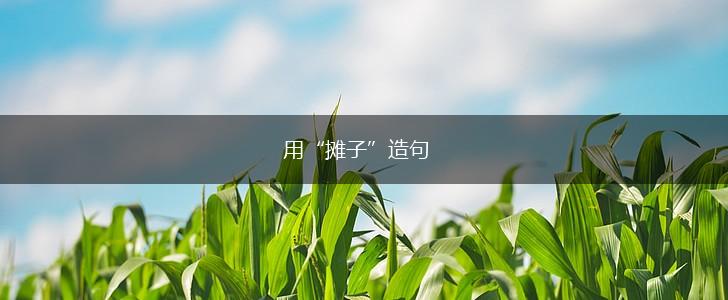 用“摊子”造句,第1张