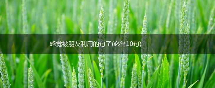 感觉被朋友利用的句子(必备10句),第1张