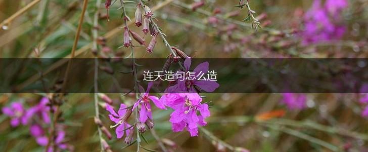 连天造句怎么造,第1张
