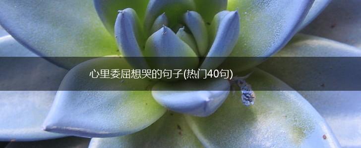 心里委屈想哭的句子(热门40句),第1张