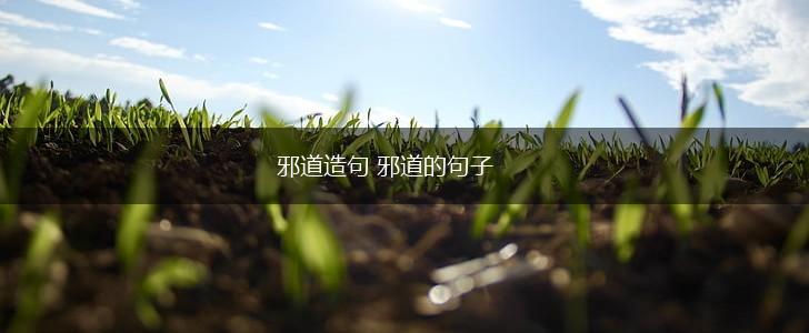 邪道造句 邪道的句子,第1张