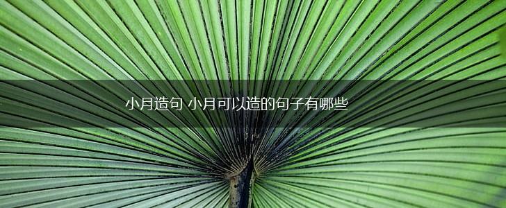 小月造句 小月可以造的句子有哪些,第1张