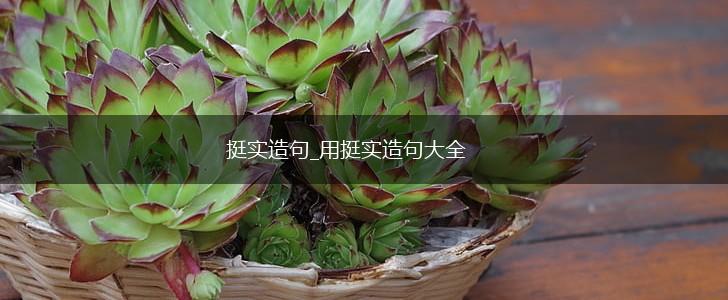 挺实造句_用挺实造句大全,第1张