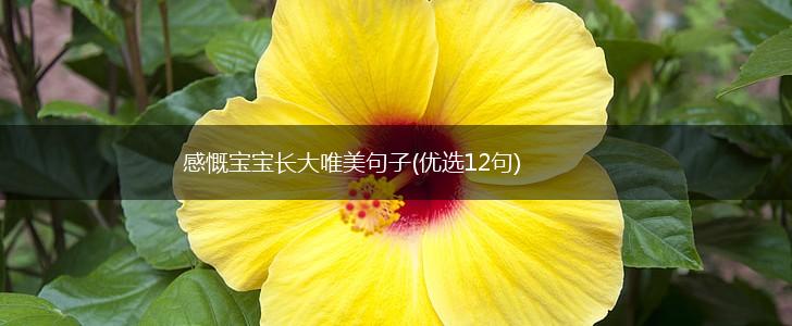 感慨宝宝长大唯美句子(优选12句),第1张