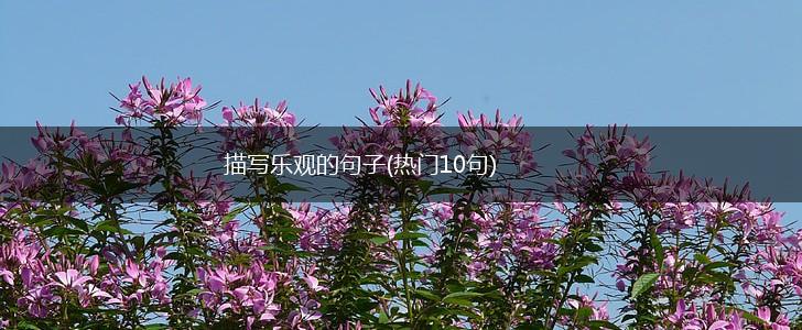 描写乐观的句子(热门10句),第1张