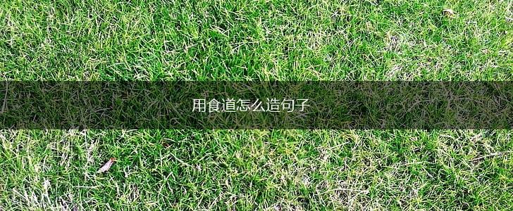 用食道怎么造句子,第1张