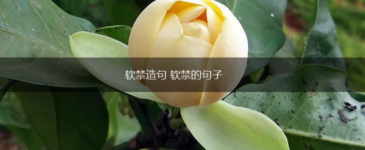 软禁造句 软禁的句子,第1张