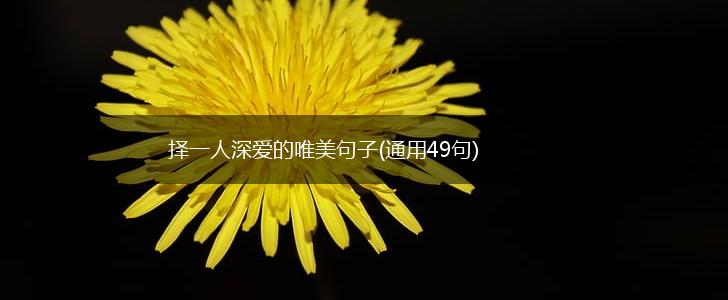 择一人深爱的唯美句子(通用49句),第1张