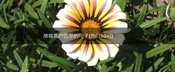 恭喜客户签单的句子(热门50句),第1张