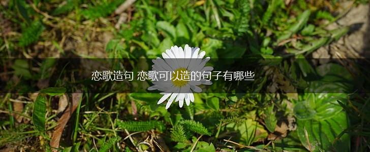 恋歌造句 恋歌可以造的句子有哪些,第1张