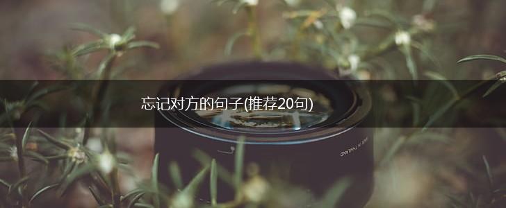 忘记对方的句子(推荐20句),第1张