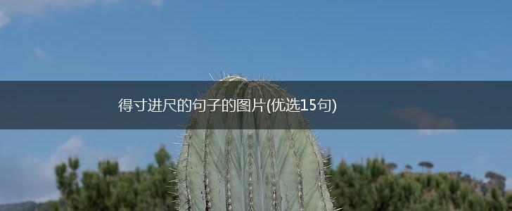 得寸进尺的句子的图片(优选15句),第1张
