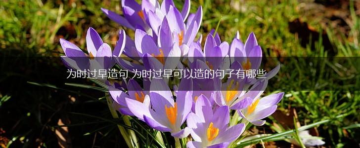 为时过早造句 为时过早可以造的句子有哪些,第1张