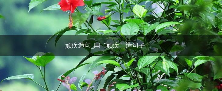 顽疾造句_用“顽疾”造句子,第1张