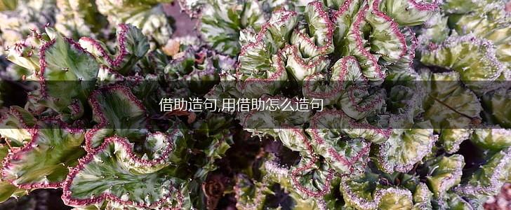 借助造句,用借助怎么造句,第1张