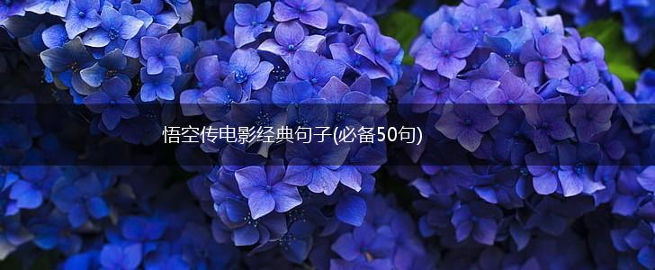 悟空传电影经典句子(必备50句),第1张