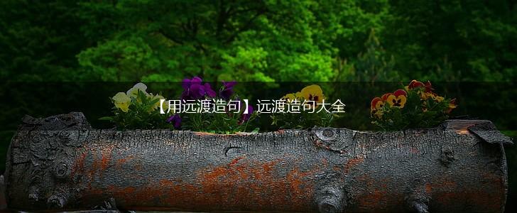 【用远渡造句】远渡造句大全,第1张