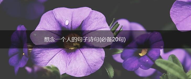 想念一个人的句子诗句(必备20句),第1张