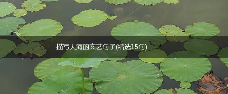 描写大海的文艺句子(精选15句),第1张