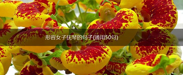 形容女子抚琴的句子(通用50句),第1张