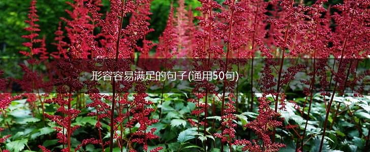 形容容易满足的句子(通用50句),第1张