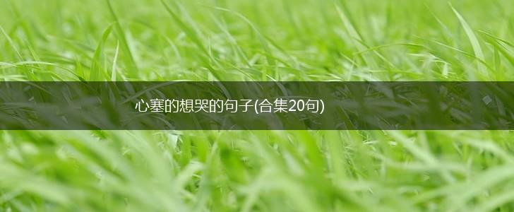 心塞的想哭的句子(合集20句),第1张
