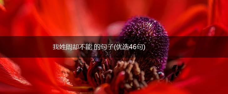 我姓周却不能 的句子(优选46句),第1张