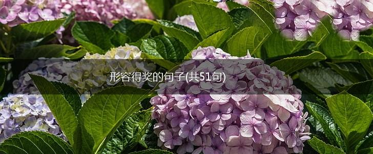 形容得奖的句子(共51句),第1张