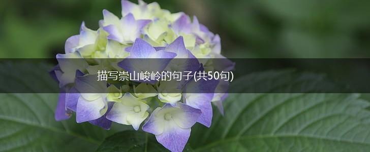 描写崇山峻岭的句子(共50句),第1张