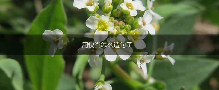 用快当怎么造句子,第1张