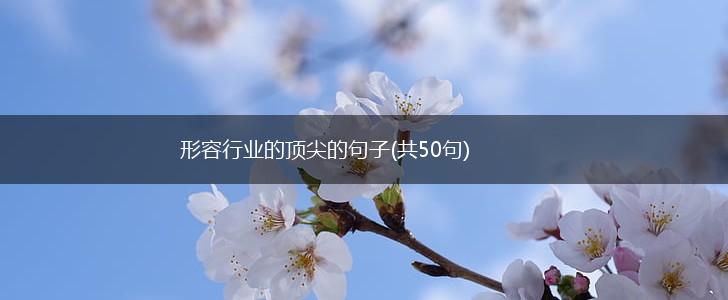 形容行业的顶尖的句子(共50句),第1张