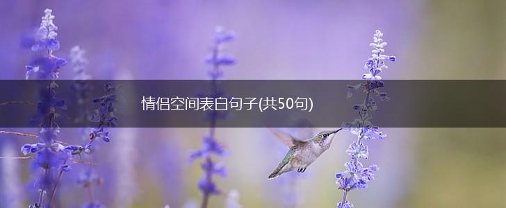 情侣空间表白句子(共50句),第1张