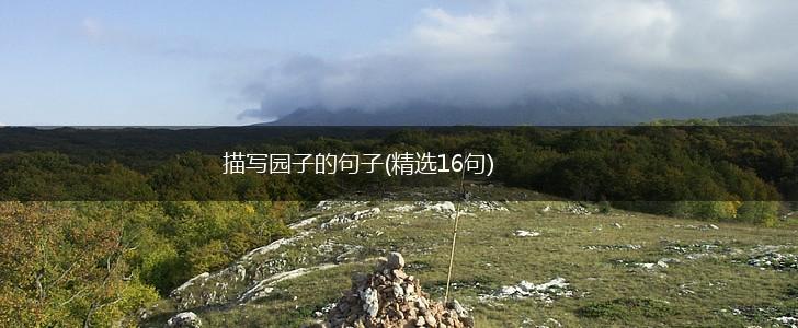 描写园子的句子(精选16句),第1张