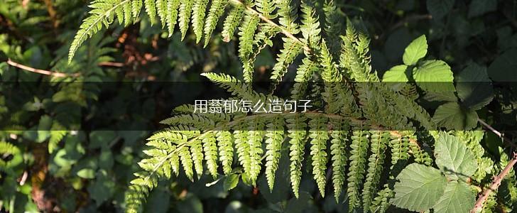 用蓊郁怎么造句子,第1张