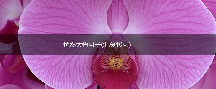 恍然大悟句子(汇总40句),第1张