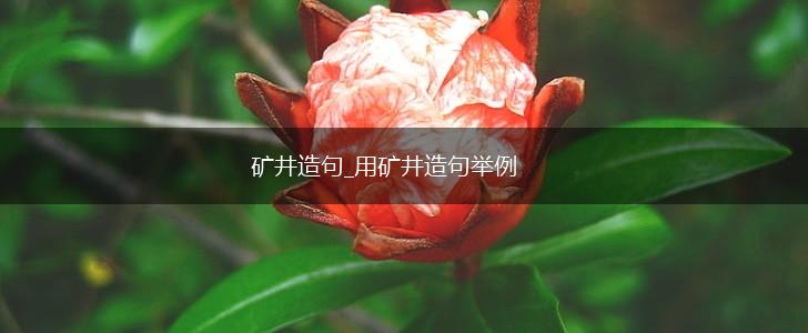 矿井造句_用矿井造句举例,第1张