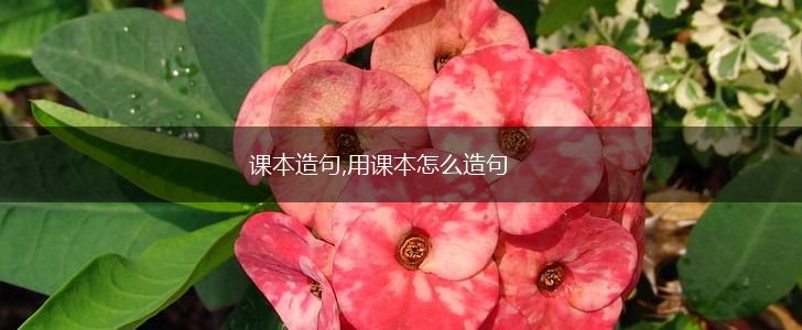 课本造句,用课本怎么造句,第1张