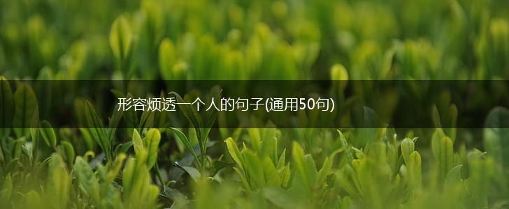 形容烦透一个人的句子(通用50句),第1张
