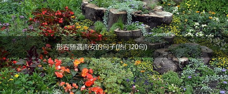 形容随遇而安的句子(热门20句),第1张