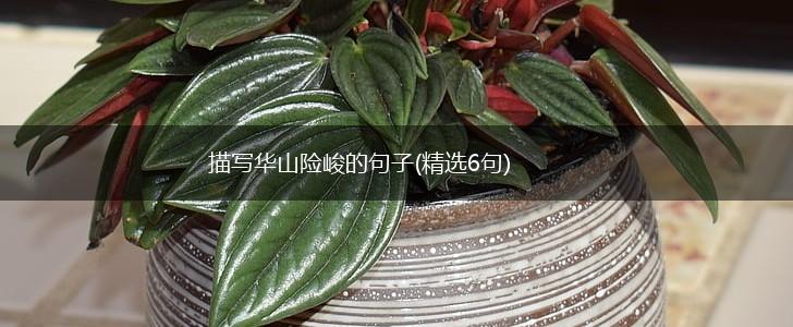 描写华山险峻的句子(精选6句),第1张
