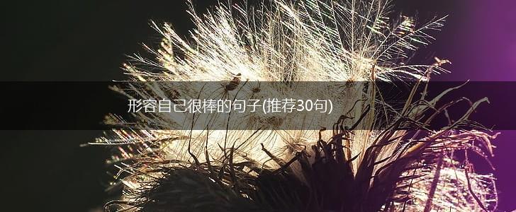 形容自己很棒的句子(推荐30句),第1张