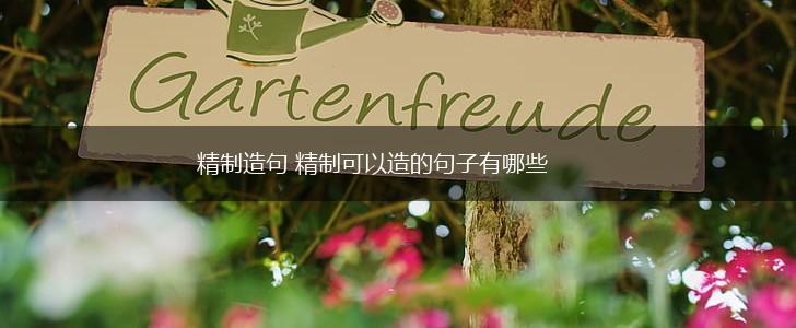 精制造句 精制可以造的句子有哪些,第1张